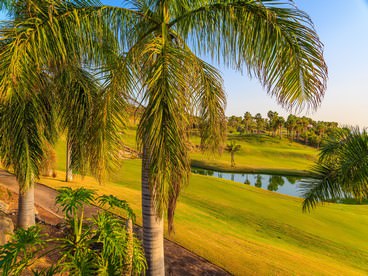 Giocare a golf a Tenerife