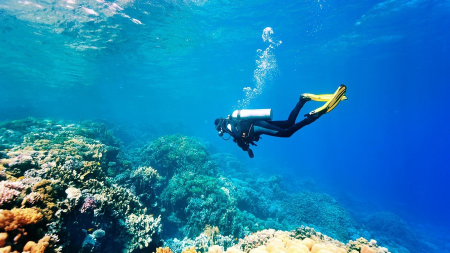 Viaggi diving alle Maldive