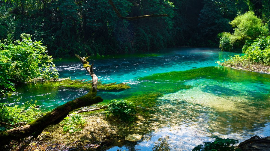 Natura attorno a Blue Eye in Albania