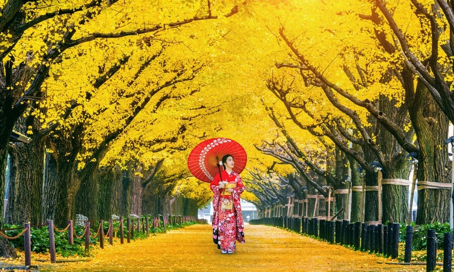 Tokyo, Icho Namiki in autunno